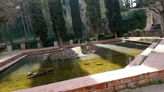 День Влюбленных !!! Жирона Старый город Вкусно поели на Рамбле Испания