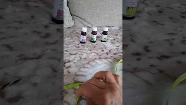 Ошейник для кошек и собак от клещей своими руками за копейки(2) смотреть онлайн
