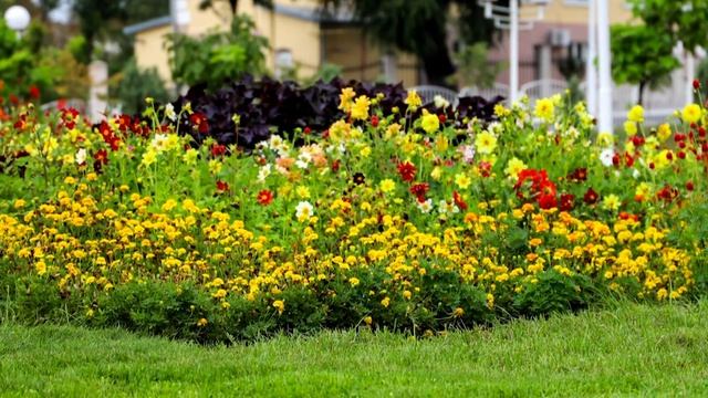Измаил - город, которым гордимся и в котором уютно, комфортно и спокойно жить. Часть 4