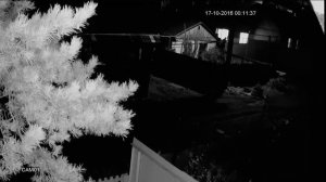 соседи алкаши орут (открываете дверь) 1 01 R 102016000909