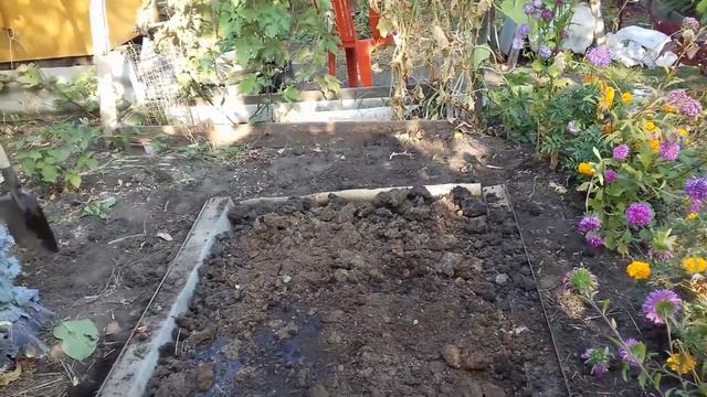 сажаю земклунику Купчиха смотреть онлайн