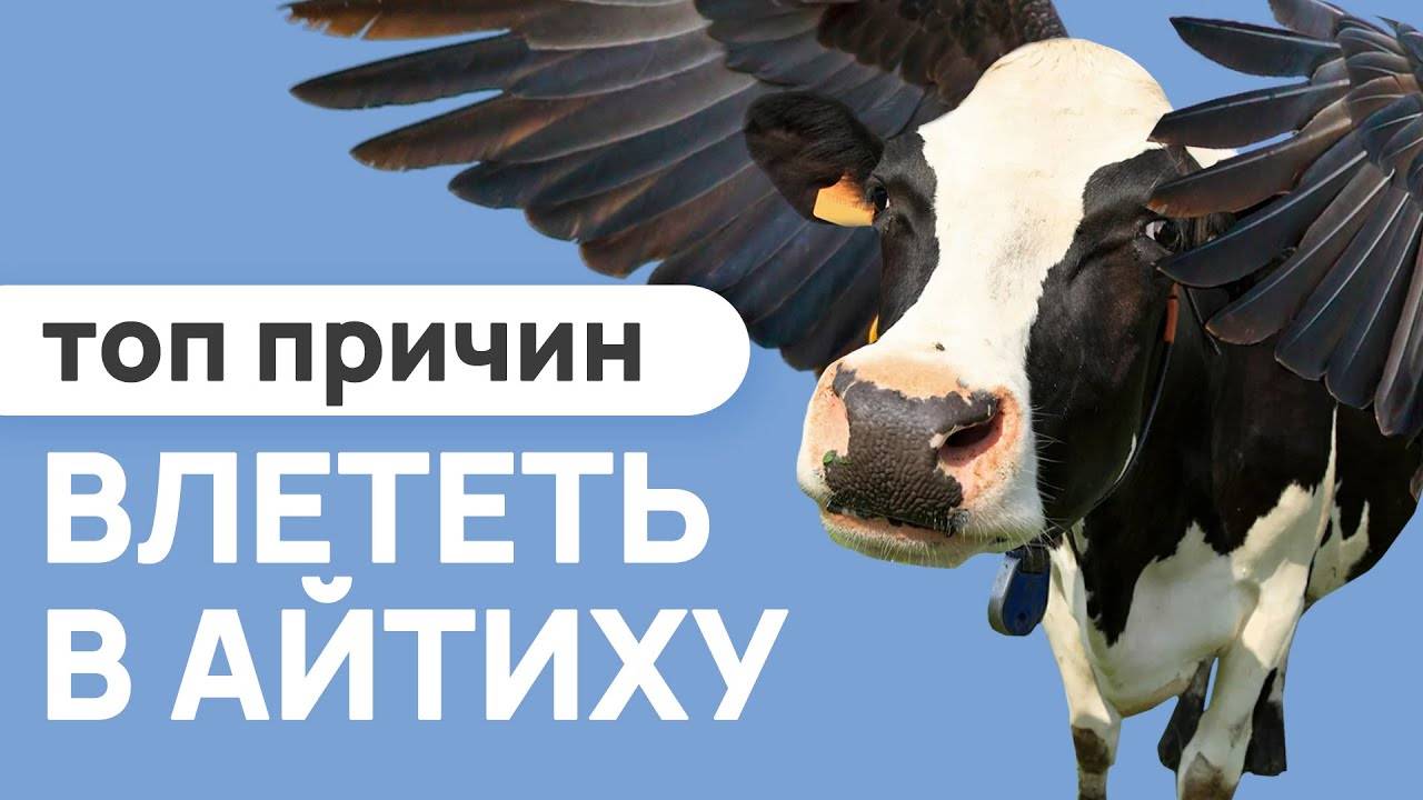 КАК БРОСИТЬ ЗАВОД И ПОЛЮБИТЬ ЖИЗНЬ