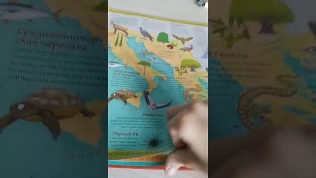 мои подарки за окончание школы смотреть онлайн