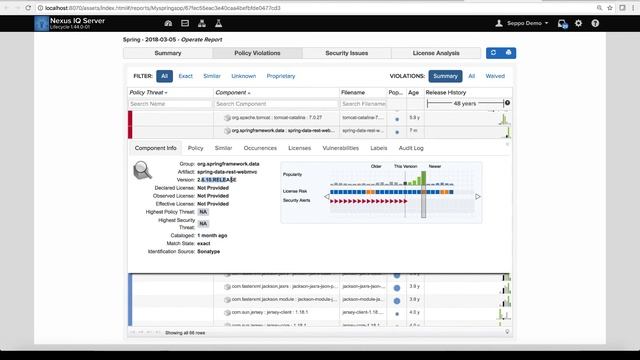 How To Find And Remediate A Critical Pivotal Spring Vulnerability With Nexus Lifecycle