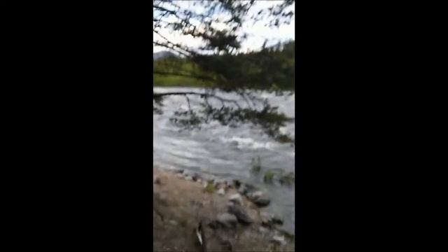 Нива полноводная смотреть онлайн