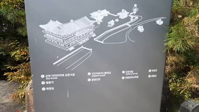 대구 현지인도 길을 모르는 대물만 나온다는 낙동강 둠벙에서 가을 차박낚시 (카니발R리무진) смотреть онлайн