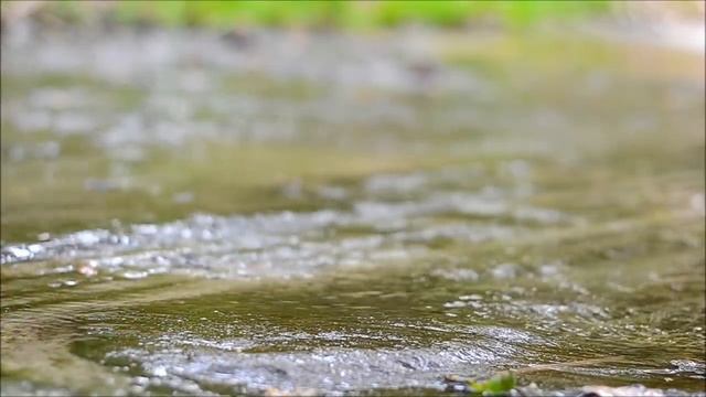 Nikon D3100 HD Video 720p 24fps Testing