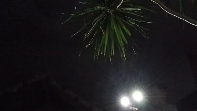 27 января 2024 г. смотреть онлайн