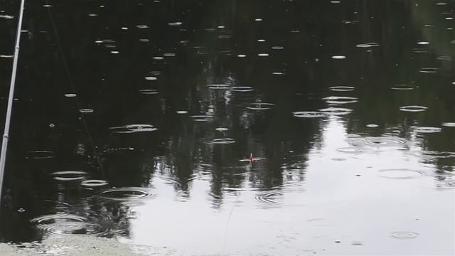 Мой первый влог. Работа на участке. Рыбалка. В гости. смотреть онлайн