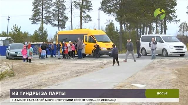 На Ямале около четырёх тысяч детей тундровиком доставят в школы смотреть онлайн