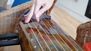 Гуцинь (古琴)/ Урок 2: приемы игры,  извлечение звуков "Мо" и "Тяо"