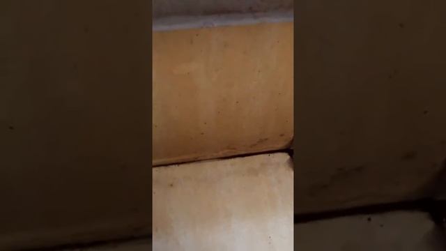 Ремонт Балкона у Барыги*ПитерЦентр Ч1