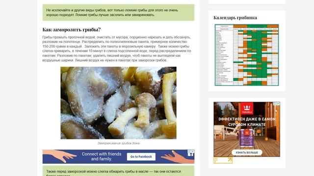 Как заморозить грибы смотреть онлайн