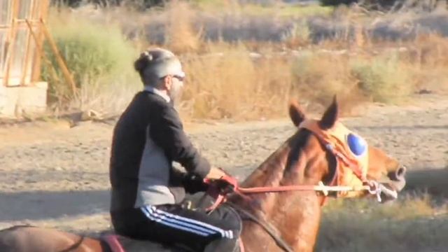 HORSE TRAINING DAY #HORSE #2020 #ЛОШАДИ #ТРЕНИРОВКА смотреть онлайн