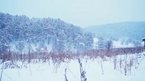 КУПИЛ 2 ДОМА В ДЕРЕВНЕ _ ЗАКОПТИЛИ САЛО В РУССКОЙ ПЕЧИ НА ШЕСТКЕ _ ПАЛЬЧИКИ ОБЛИЖЕШЬ