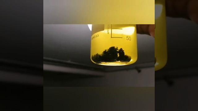 Щелочное хлорирование кварцевых камней смотреть онлайн