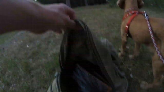 ВЛОГ : Делаю Вечный Террариум . Как сделать вечный террариум. смотреть онлайн