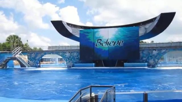 Sea World, Orlando.  Shamu.  Шоу касаток. Believe.1