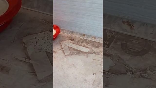 Рыбные котлеты ? Супер-соник, силиконовые Деко Tupperware ♻️??