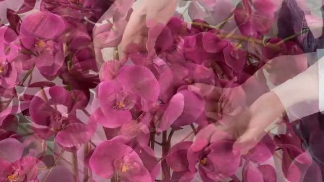 Большая искусственная орхидея в горшке для декора комнаты смотреть онлайн