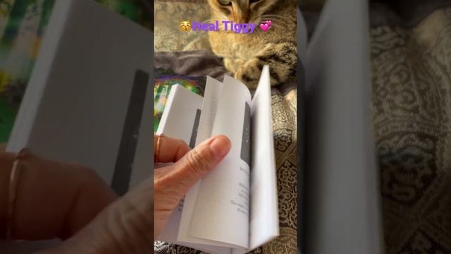 Adorable Cat Tiggy chooses Witches’ Wisdom Oracle Cards, pick of the day ???#tarot #tatotreading смотреть онлайн