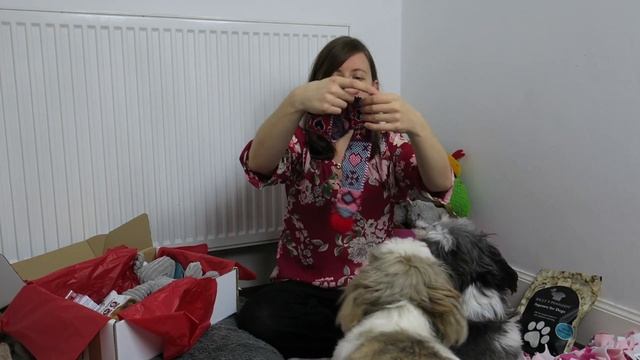 Pet Nature Box November 2016 Review смотреть онлайн