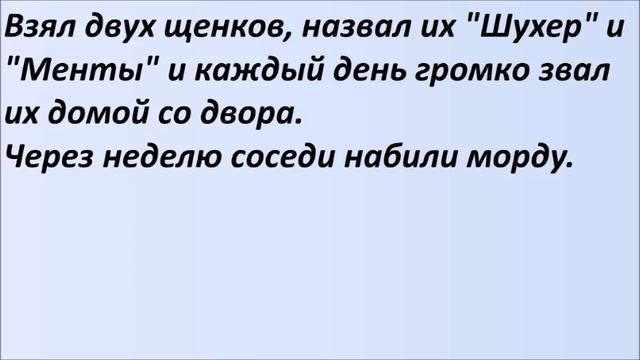 Первая ночь после свадьбы. Лучшие смешные анекдоты Выпуск 1067 смотреть онлайн