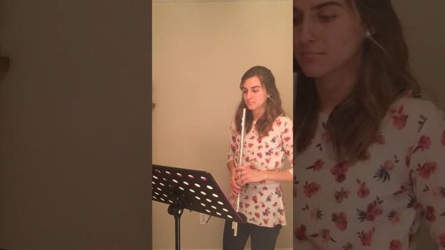 Quantz Concerto G major 1 mov. смотреть онлайн