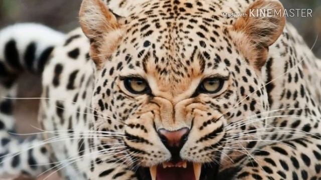 ?самые мощные басы ?#2 смотреть онлайн