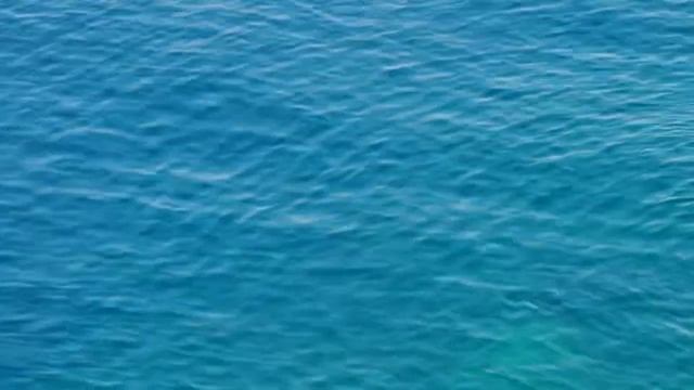 The birth of Water смотреть онлайн