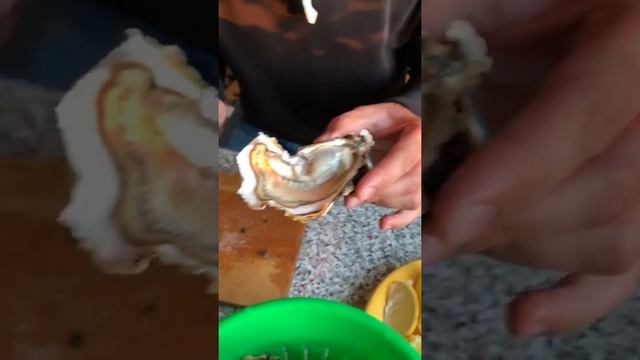 Как правильно кушать устрицы смотреть онлайн