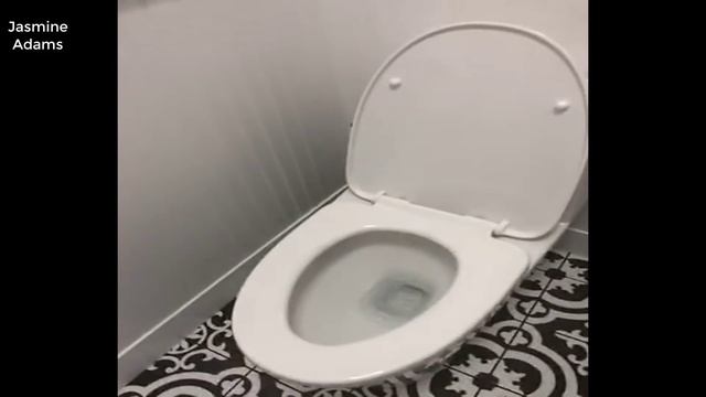 WoodBridge T-0001 Dual Flush Elongated One Piece Toilet Review 2020 смотреть онлайн