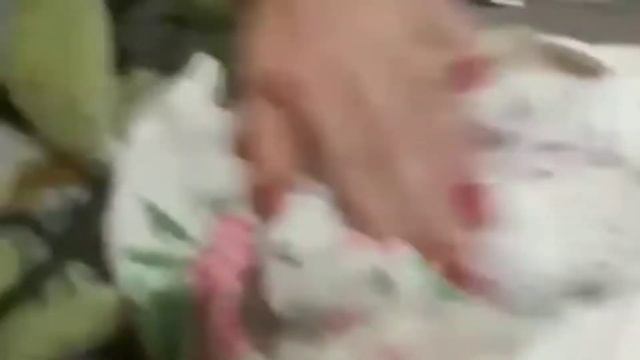 Спасение замёрзшего крольчишки ? смотреть онлайн