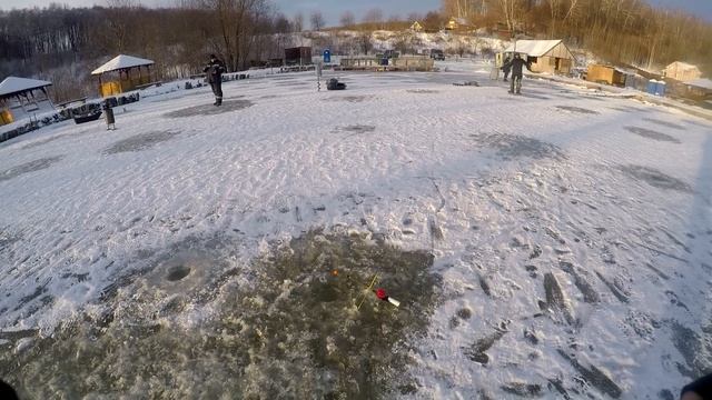 Рыбалка со льда | Форель зимой на платнике | Стратегия ловли смотреть онлайн