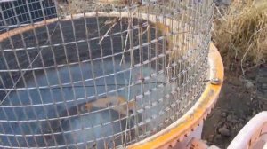 Просеиватель компоста, земли, песка на базе бетономешалки