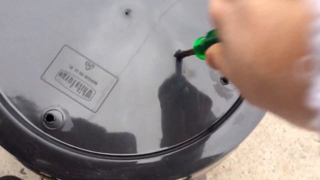 Planting Twice in a Blue Moon Rose / And Royal Parfuma Rose in pots смотреть онлайн