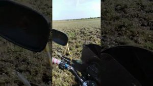 ДАЛЬНЯК НА ИЖ ПЛАНЕТЕ 5. ЧАСТЬ 1