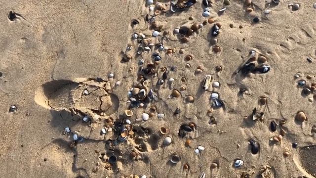Noord zee🔹Прогулка по прекрасному берегу Северного моря🔹 смотреть онлайн