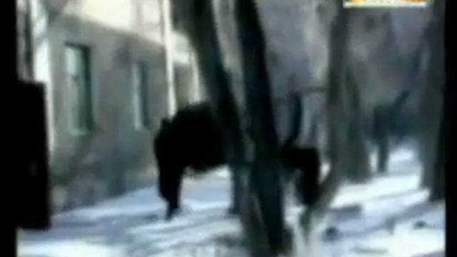 Бөршетау смотреть онлайн