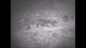 Охота на кабана с вышки ночник Sytong HT60