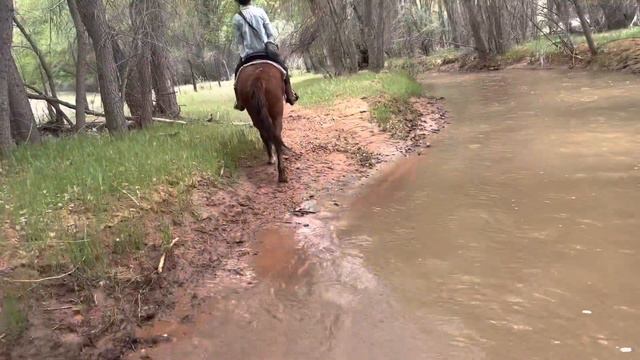 Canyon Del Muerto & Massacre Cave
