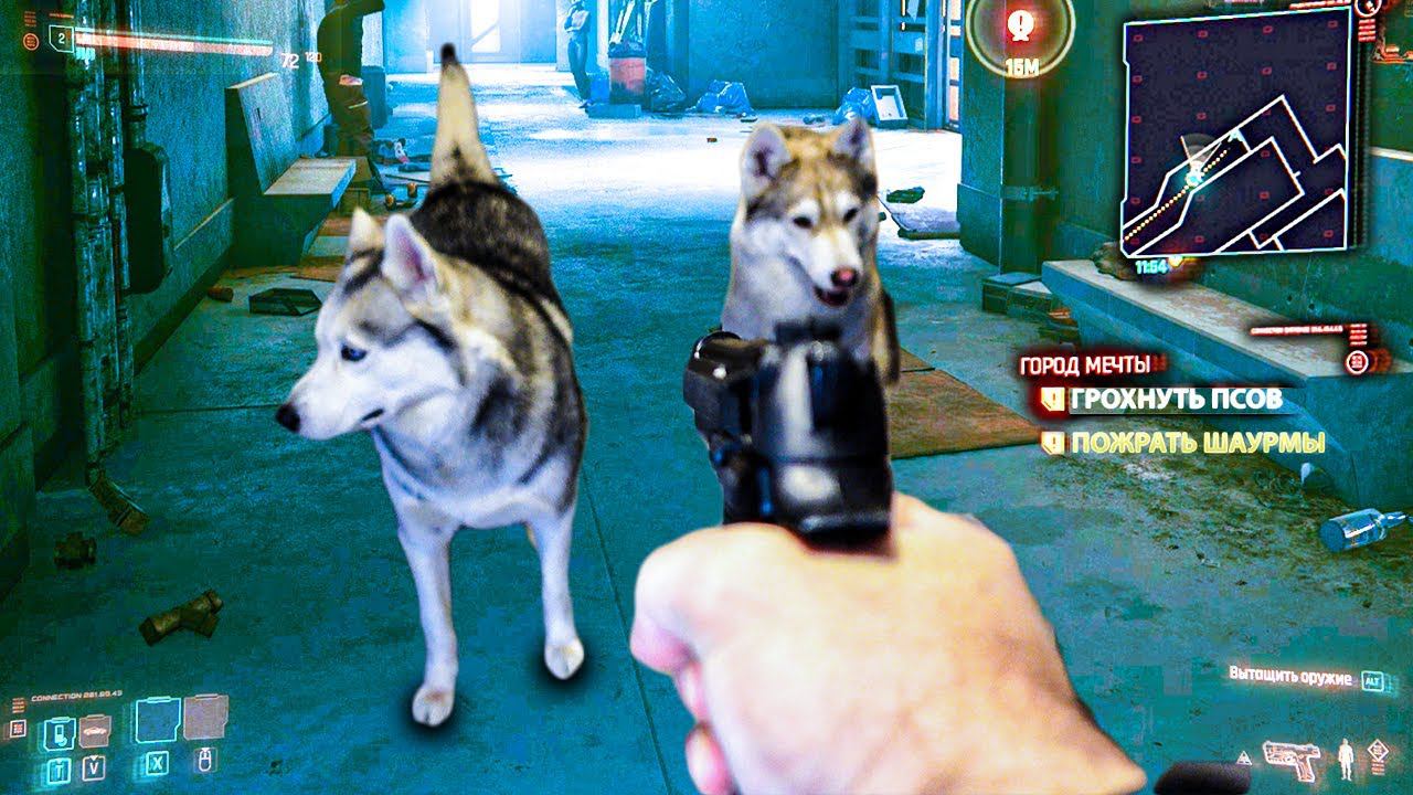 CYBERPUNK 2077 В РЕАЛЬНОЙ ЖИЗНИ!! КИБЕРПСЫ КИБЕРПАНК 2077!! (Хаски Бандит) Говорящая собака смотреть онлайн