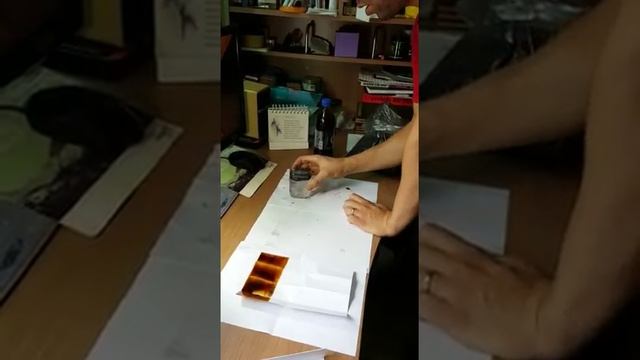 Испытание сорбента Эколан-М смотреть онлайн