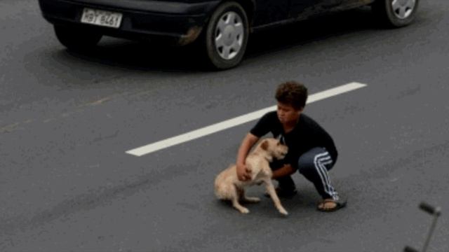 Люди застыли в УЖАСЕ❗ Ребенок выбежал на дорогу спасти сбитую собаку❗ смотреть онлайн