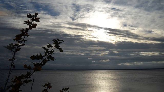 Щемящая Грусть... Тихая Грусть...