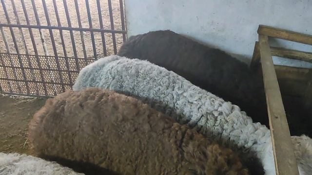 9 марта 2023 г. смотреть онлайн