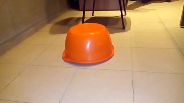 превью канала Хорьки Irbis1977 смотреть онлайн