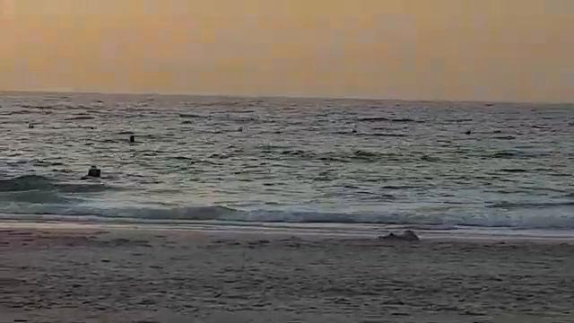 Sharjah Grand Hotel 4, Вечер, Персидский Залив, 1 минутка релакса от AlekZ(с) 10.04.18 смотреть онлайн