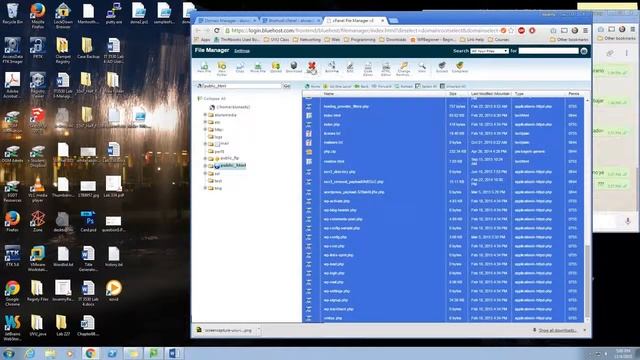 Delete files on the public_html using Bluehost смотреть онлайн