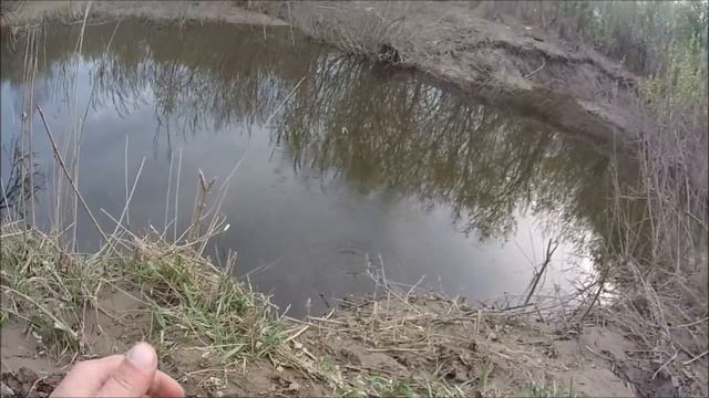 #Tanago #Microfishing первые пробы 2020 с нано-поплавочкой)